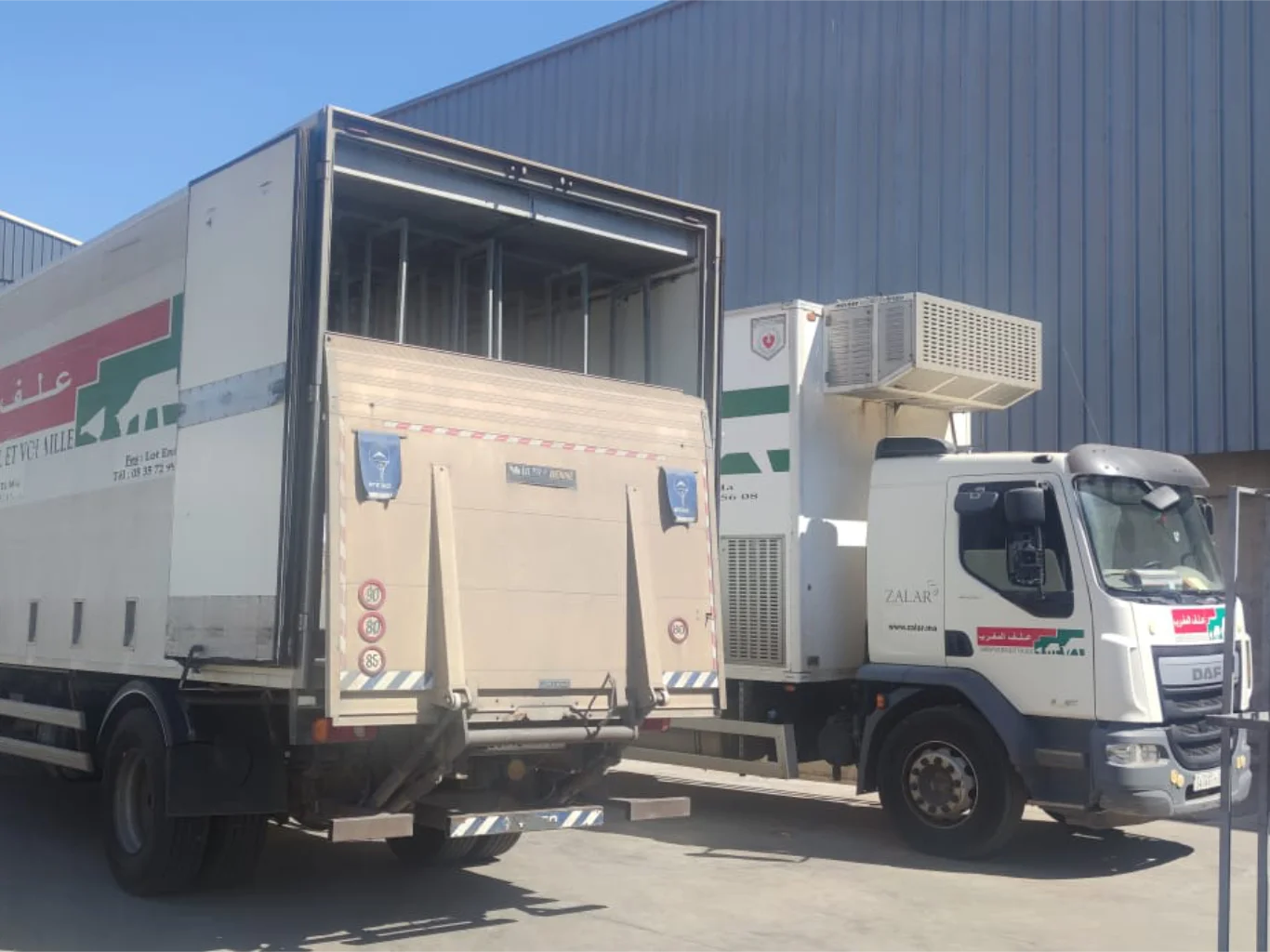 autotrasporto-bestiame-refrigerazione-bologna