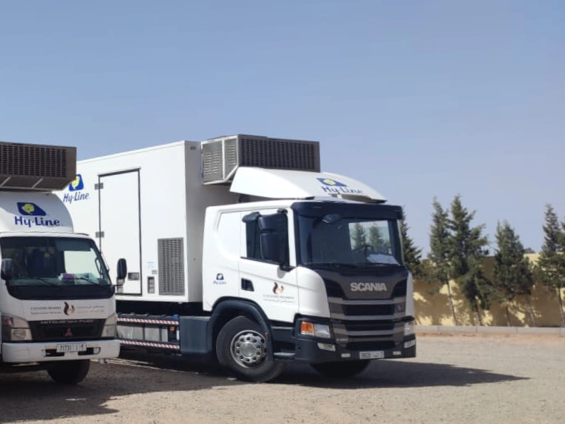 azienda-servizi-refrigerazione-mobile-modena