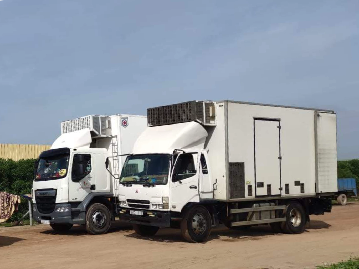 mf15p4-mf15-p6-modena-bologna