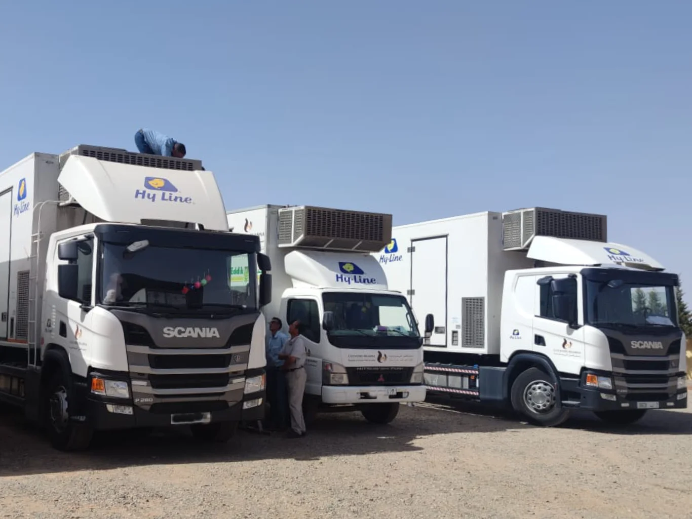 refrigerazione-furgoni-furgoni-autotrasporto-pulcini-bestiame-modena